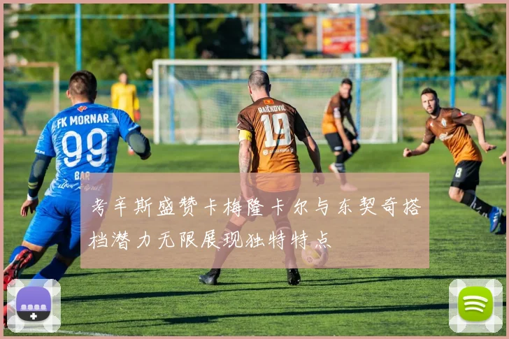 考辛斯盛赞卡梅隆卡尔与东契奇搭档潜力无限展现独特特点